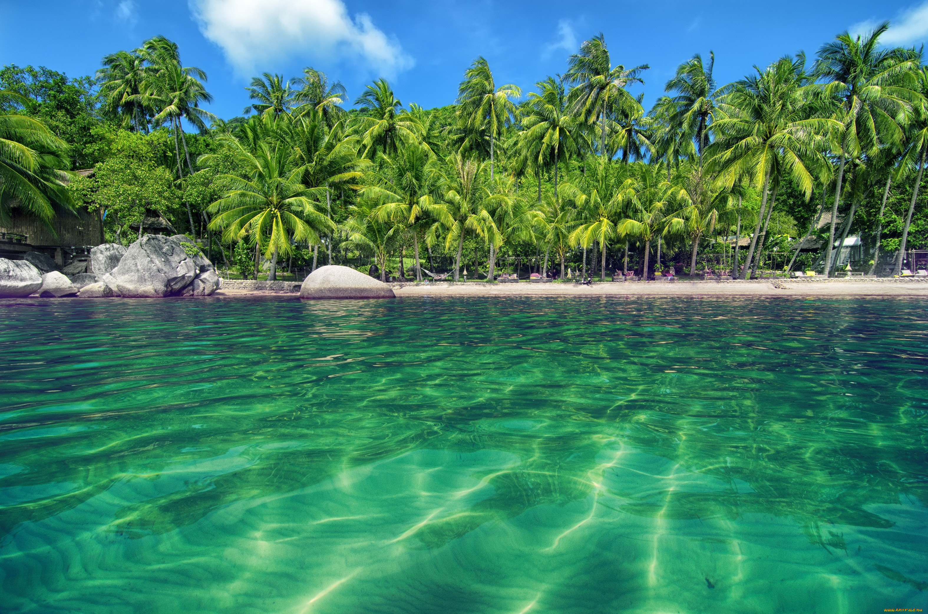 Tropical. Парадиз остров Карибского моря. Мальдивы голубая Лагуна. Голубая Лагуна Саона Доминикана. Тропики остров голубая Лагуна.